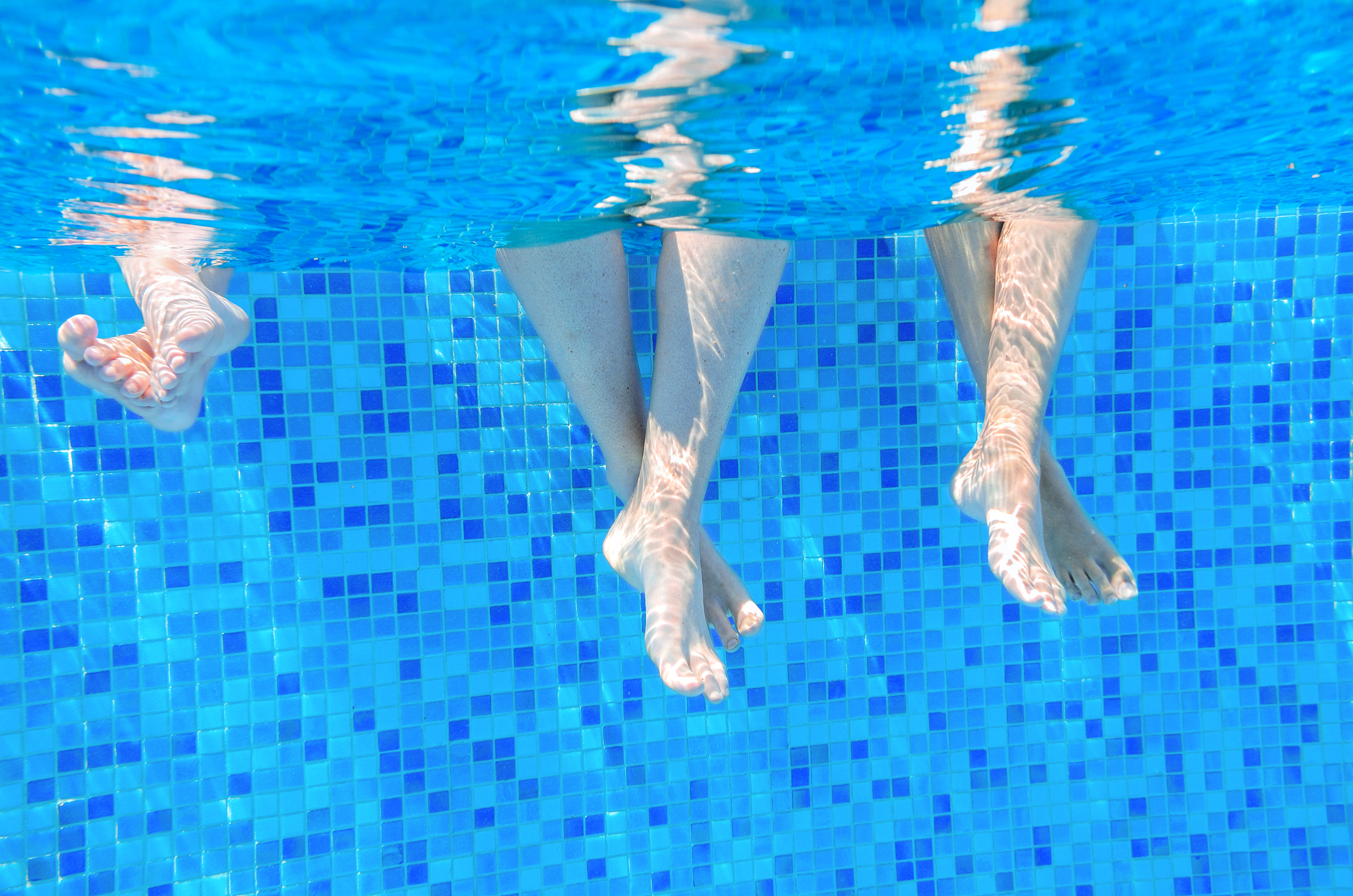Funny underwater family legs in swimming pool, vacation and sport concept